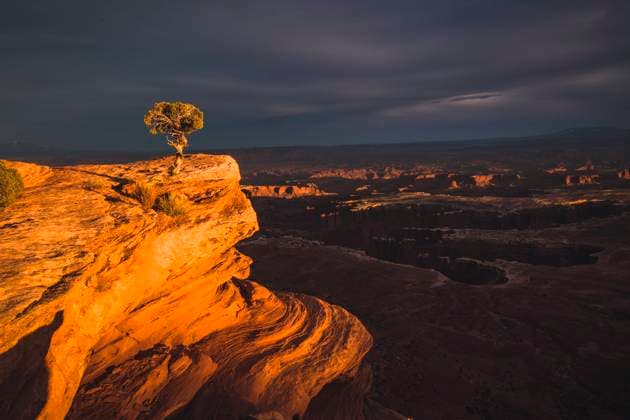 IMAGO Creative: 2021 Favoriten IMAGO Creative: Klimawandel - Grüne Erholung Sunset on lone tree on cliff in desert, Canyonlands National Park Utah Moab, UT, United States CR_SSNF210623-741704-01