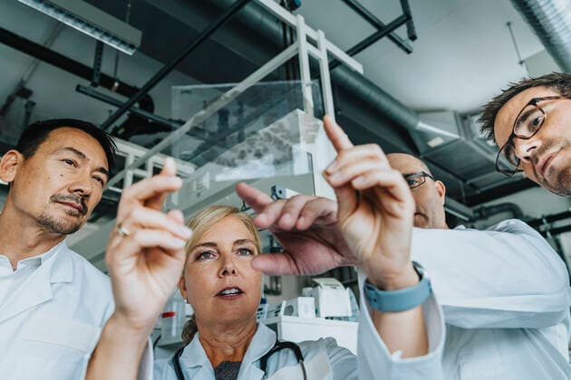 Scientists examining human brain slide while standing at laboratory model released Symbolfoto property released MFF06552