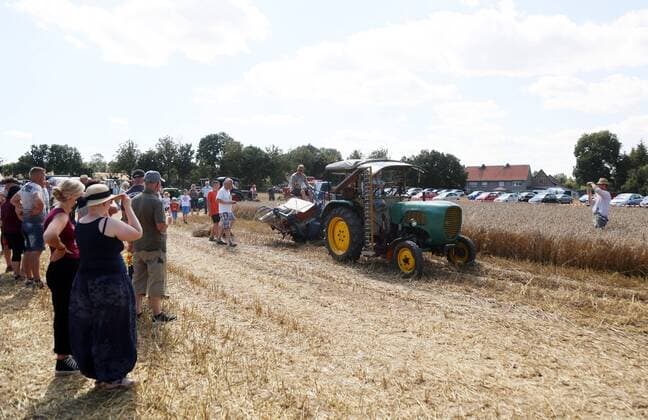 Dreschfest und Traktorentreffen Ostramondra 14.08.2021 , Ostramondra, Dreschfest und Traktorentreffen des Heimatvereins Ostramondra im Bild: alte Landtechnik wird vorgeführt *** threshing festival and tractor meeting Ostramondra 14 08 2021 , Ostramondra, threshing festival and tractor meeting of the homeland association Ostramondra in the picture old agricultural technology is demonstrated