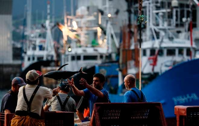 Tuna fish is unloaded from boats in Hondarribia, Basque Country, Spain, on the last day of the tuna fishing season in the region, 16 August 2021. Basque fishermen close the tuna fishing season with a total of 9,536 tons captured, the maximum established for this year s fishing quota. Closure of the tuna fishing season in the Basque Country !ACHTUNG: NUR REDAKTIONELLE NUTZUNG!  Copyright: xJuanxHerrerox GRAF3879 20210816-900aff6ae0fc90fb8e5c0cde9c041db33232e28c