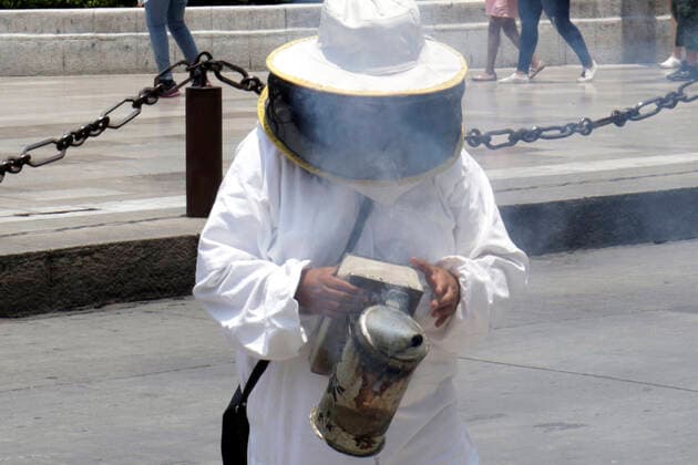 National Bee Day In Mexico MEXICO CITY, MEXICO - AUGUST 17: A beekeeper from Abejas de Barrio of Xochimilco, holds a bee smoker while protest to demand More Pollination and Less Pesticides as a campaign to protect the bees during the National Bee Day at Palace of Fine Arts on August 17, 2021 in Mexico City, Mexico. Copyright: xLuisxBarronx EYEPIXGROUP_LB_17082021_12403