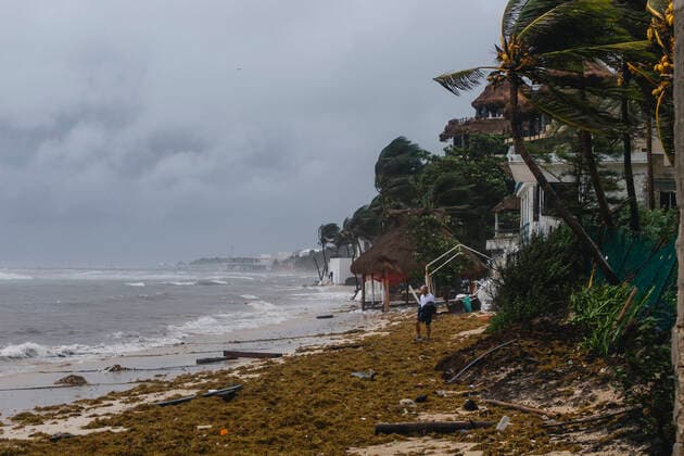 Hurrican Grace Hits Playa Del Carmen Coast strong gusts of wind cause the palm trees to move while Category 1 Hurricane Grace hit Playa del Carmen in the Mexican Caribbean. On August 19, 2021 in Playa Del Carmen, Mexico. Playa Del Carmen Quintana Roo Mexico group-hurrican210819_np4rx  Copyright: xEyepixx