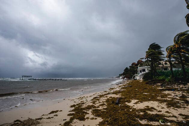 Hurrican Grace Hits Playa Del Carmen Coast strong gusts of wind cause the palm trees to move while Category 1 Hurricane Grace hit Playa del Carmen in the Mexican Caribbean. On August 19, 2021 in Playa Del Carmen, Mexico. Playa Del Carmen Quintana Roo Mexico group-hurrican210819_npaZA  Copyright: xEyepixx