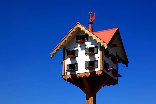 Taubenhaus, Himmelkron, Landkreis Kulmbach, Oberfranken, Bayern, Deutschland 1f-50112467