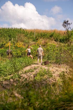 IMAGO Creative: Landleben - Alfresco, Draußen Biohof Sorge Über Hof Baldereck Im Januar 2019 haben wir die Rügener Spezialitätenmanufaktur übernommen, welche von unseren Eltern bzw. Schwiegereltern Britta-Maria Sorge und Frank Sorge im Jahr 2005 gegründet und in der Folge 14 Jahre lang erfolgreich geführt wurde. Mit unseren drei Kindern zogen wir nach Baldereck und sind jeden Tag dankbar, das Leben und Arbeiten auf diesem Hof miteinander verbinden zu können. ‹ Unser Steckenpferd sind unsere bio-zertifizierten Backwaren aus dem Holzbackofen. Wir backen entsprechend unserer Öffnungszeiten täglich frische Sauerteig-Brote, Baguettes, Brötchen und Kuchen. In unserem Hofladen gibt es köstliche und außergewöhnliche Fruchtaufstriche und Chutneys, Honig aus eigener Imkerei, Nude