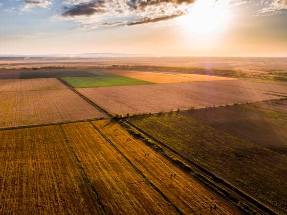 Agricultural fields during sunset, Vojvodina, Serbia NOF00347