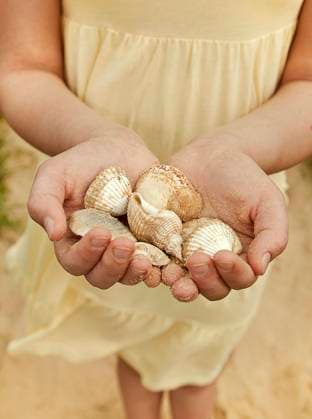 Girl with hands cupped holding seashells at beach model released Symbolfoto AJOF01586