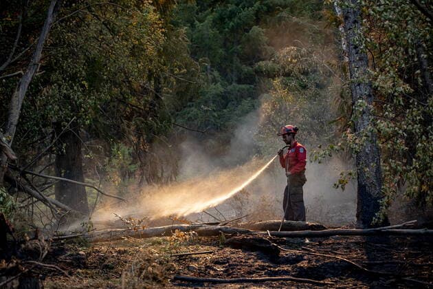 August 25, 2021, VERNON, BC, Canada: Wildland firefighter Sasha Terhoch sprays water on hot spots remaining from a controlled burn the B.C. Wildfire Service conducted to help contain the White Rock Lake wildfire on Okanagan Indian Band land, northwest of Vernon, B.C., on Wednesday, August 25, 2021. VERNON Canada  - ZUMAc35_ 20210825_zaf_c35_051 Copyright: xDarrylxDyckx
