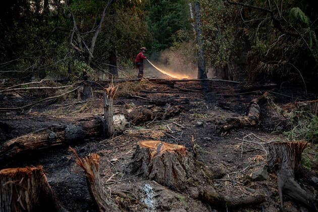 August 25, 2021, VERNON, BC, Canada: Wildland firefighter Sasha Terhoch sprays water on hot spots remaining from a controlled burn the B.C. Wildfire Service conducted to help contain the White Rock Lake wildfire on Okanagan Indian Band land, northwest of Vernon, B.C., on Wednesday, August 25, 2021. VERNON Canada  - ZUMAc35_ 20210825_zaf_c35_062 Copyright: xDarrylxDyckx
