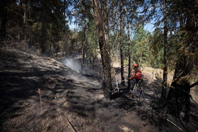 August 25, 2021, VERNON, BC, Canada: Wildland firefighter Katie Devaney sprays water on hot spots remaining from a controlled burn the B.C. Wildfire Service conducted to help contain the White Rock Lake wildfire on Okanagan Indian Band land, northwest of Vernon, B.C., on Wednesday, August 25, 2021. VERNON Canada  - ZUMAc35_ 20210825_zaf_c35_073 Copyright: xDarrylxDyckx