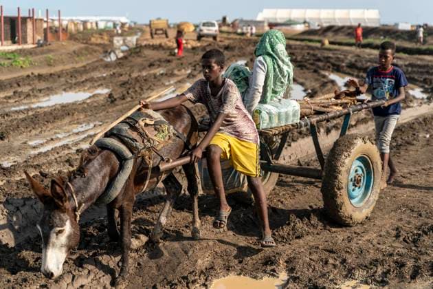 August 24, 2021, Gedaref, Washington, Sudan: Children deliver food and building supplies via donkey cart through the mud-filled streets of the Tuneidba Refugee Camp near Gedaref, Sudan...The 20,000 Tigrayan refugees in this camp are part of the estimated 200,000 people who have fled Ethiopia and Eritrea following attaches by violent militias. Gedaref Sudan - ZUMAb333 20210824_znp_b333_030 Copyright: xGreggxBrekkex