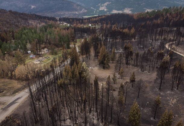 August 26, 2021, MONTE LAKE, BC, Canada: Burnt trees are seen in an area where numerous structures were destroyed by the White Rock Lake wildfire earlier this month, in Monte Lake, B.C., on Thursday, August 26, 2021. MONTE LAKE Canada  - ZUMAc35_ 20210826_zaf_c35_067 Copyright: xDarrylxDyckx
