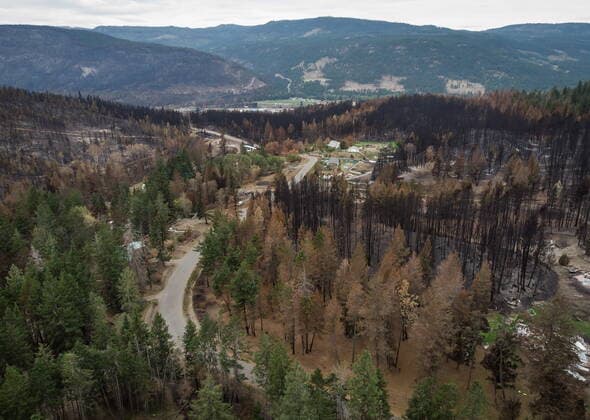 August 26, 2021, MONTE LAKE, BC, Canada: Burnt trees are seen in an area where numerous structures were destroyed by the White Rock Lake wildfire earlier this month, in Monte Lake, B.C., on Thursday, August 26, 2021. MONTE LAKE Canada  - ZUMAc35_ 20210826_zaf_c35_068 Copyright: xDarrylxDyckx