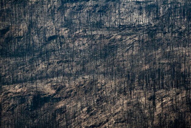 August 26, 2021, MONTE LAKE, BC, Canada: Trees burnt by the White Rock Lake wildfire earlier this month are seen on the side of a mountain in Monte Lake, B.C., on Thursday, August 26, 2021. MONTE LAKE Canada  - ZUMAc35_ 20210826_zaf_c35_070 Copyright: xDarrylxDyckx