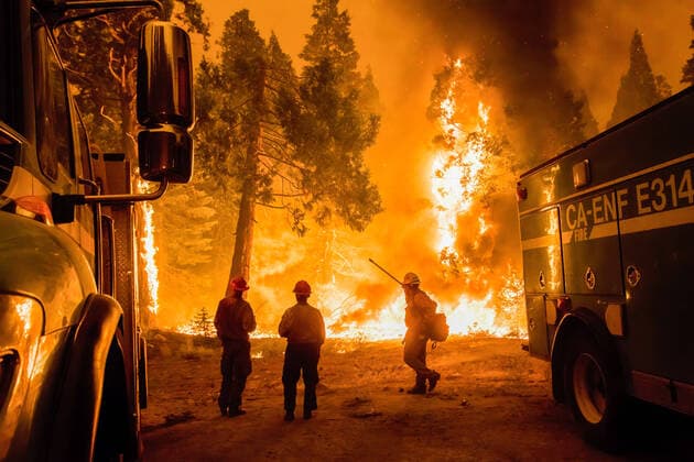 Bilder des Jahres 2021, News 08 August News Themen der Woche KW34 August 26, 2021, Strawberry, California, United States: View of burning trees as the Caldor Fire grows to the Tahoe basin..The Caldor fire has grown to over 130,000 acres and threatens to grow to the Tahoe basin. These images where taken at a backfire set by crews in an effort to gain control on the Caldor fire. Cause still unknown at this time. Strawberry United States - ZUMAs197 20210826_zaa_s197_270 Copyright: xTyxO Neilx