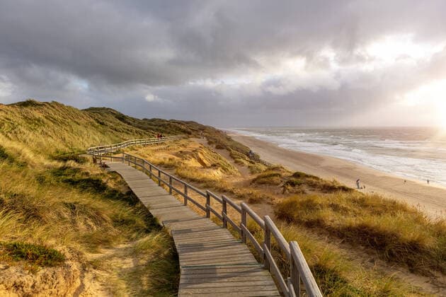 Sylt. 25 AUG 2021. Holzbohlenweg über dem Roten Kliff bei Kampen. NORDFRIESLAND. Nordfriesische Inseln. *** Sylt 25 AUG 2021 Wooden plank path above the Red Cliff near Kampen NORDFRIESLAND North Frisian Islands Copyright: JanisMEYER Priller&MAUG JMY9F1520X