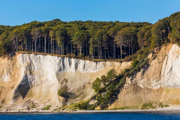 Internationaler Tag des Waldes am 21. März Creative Highlights World Kreidekueste mit Buchenwald, Jasmund Nationalpark, Deutschland, Mecklenburg-Vorpommern, Ruegen chalk coast with beech forest, Jasmund National Park, Germany, Mecklenburg-Western Pomerania, Ruegen BLWS651222 *** chalk coast with beech forest, Jasmund National Park, Germany, Mecklenburg Western Pomerania, Ruegen BLWS651222 Copyright: xblickwinkel A.xHeldx