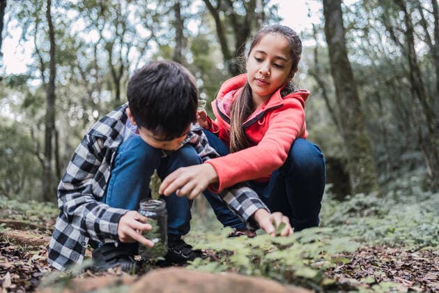 IMAGO Creative: Gesellschaft, Integration Ethnic girl putting green plant leaf into jar against brother while squatting on land in summer forest, Model released ReneStevens_ExplorerKids_52.jpg Copyright: xRenexStevensx MR