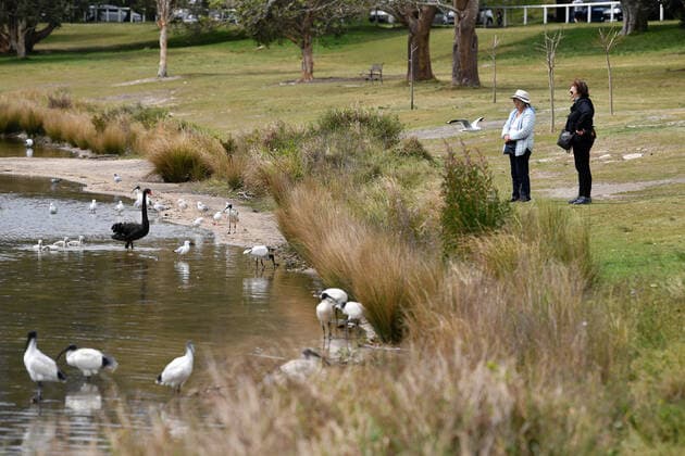 NSW CORONAVIRUS COVID19, Locals exercise at Centennial Park after picnic restrictions were lifted in Sydney, Monday, September 13, 2021. NSW has been warned of a challenging two months ahead with an incoming peak in COVID-19 cases even as restrictions ease for fully vaccinated residents. ( NO ARCHIVING, EDITORIAL USE ONLY, NO USE IN BOOKS WITHOUT CONSENT SYDNEY NSW AUSTRALIA  Copyright: xJOELxCARRETTx 20210913001575680090