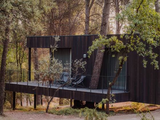 IMAGO Creative: Gesundheit, Stille Contemporary cottage with wooden exterior and spacious terrace located in woods in summer evening, Property released HodeiUnzueta_OllerDelMas_52.jpg Copyright: xHodeixUnzuetax Model Released
