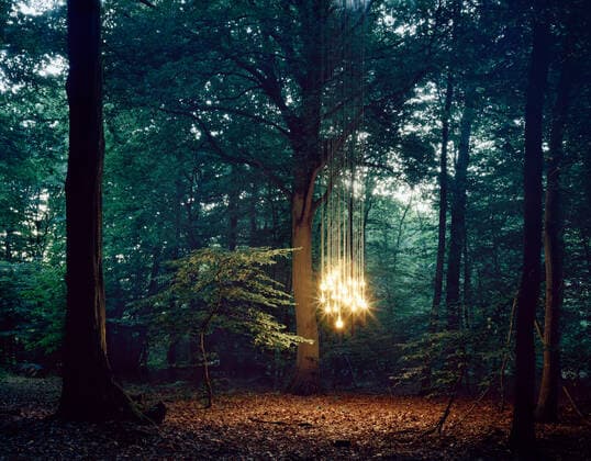 Lights hanging from tree in forest, 09.03.2012, Copyright: xLottiexDaviesx hanging,copy space,concepts,escape,fantasy,idea,calm,creativity,growth,imagination,nature,tree,illuminated,lightbulb,outdoors,rural,forest,autumn,day,evening,energy,environment,light,nobody,landscape,remote,beauty in nature,out of context,ethereal,Hanging,Creativity,Energy,Escape,Fantasy,Growth,Imagination,Mood,Calm,Not In Context,Remote,No People,Luminosity,Illuminated,Copy Space,Tree,Electric Light,Lightbulb,Symbol,Orthographic Symbol,Numeral,Woodland,Forest,Light,Non-Urban Scene,Rural Scene,Landscape,Outdoors,Autumn,Twilight,Evening,Day,Environment,Ideas,Nature,Beauty In Nature Ref:38cd0001rm