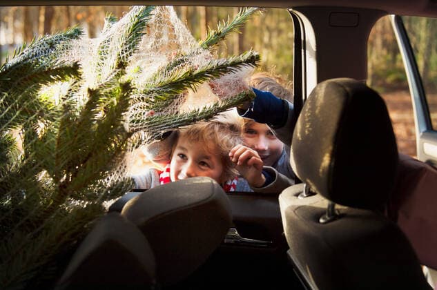 IMAGO Creative: Countdown bis Weihnachten, Nach Hause reisen Two boys looking at Christmas tree in car, 21.12.2011, Copyright: xMiekexDallex, model released, wearing,childhood,preparation,responsibility,bonding,effort,festive,fun,togetherness,excitement,friendship,christmas tree,child,only children,caucasian ethnicity,male,boy,only boys,outdoors,forest,winter,day,christmas,traditional holiday,brother,transport,car,traditional culture,warm clothing,6 to 7 years,transport interior,8 to 9 years,cold,christmas shopping,December 2011 Release,Caucasian Ethnicity,Child,Elementary Age,6-7 Years,8-9 Years,Male,Boys,Only Boys,Family,Brother,Childhood,Effort,Enjoyment,Fun,Festivity,Excitement,Preparation,Relationship,Friendship,Bonding,Responsibility,Togetherness,Cold,Christmas,Decoration,Christmas Decoratio Ref:IS099I56Y