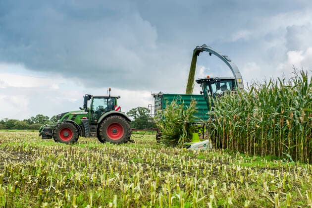 ernte,maisfeld,erntemaschine,ernten,maisanbau,maisbau,maisfelder,erntemaschinen *** harvest,maize field,harvester,harvests,cornfields,harvesters lj3-jz7 EDITORIAL USE ONLY