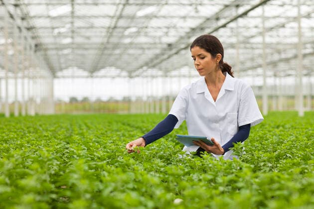 IMAGO Creative: Klimawandel - Zukunft und Innovation Scientist in rows of plants in greenhouse, holding digital tablet, 18.11.2013, Copyright: xFrankxVanxDelftx, model released, wearing,head and shoulders,abundance,dedication,growth,plant,in a row,25 to 29 years,female,woman,young woman,only one young woman,one person,scientific occupation,scientist,greenhouse,indoors,day,lab coat,environmental issue,standing,horticulture,technology,digital tablet,biology,hard work,investigation,biologist,November 2013 Release,using digital tablet,Standing,Young Adult,25-29 Years,Female,Women,Young Women,Young Adult Woman,Science Occupation,Life Scientist,Biologist,Abundance,Dedication,Disciplines,Natural Science,Life Science,Biology,Growth,In A Row,One Person,Head And Shoulders,Computer,Portable Informati Ref:IS09AE0MH