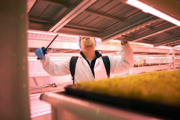 IMAGO Creative: Klimawandel - Zukunft und Innovation Male worker reaching to spray micro greens in underground tunnel nursery, London, UK, 13.05.2016, Copyright: xPeterxMullerx, model released, , property released, wearing,watering,reaching,spraying,using,working,pink,differential focus,head and shoulders,small business,abundance,concentration,control,cultivation,growth,healthy eating,hygiene,innovation,nurturing,skill,nature,fresh,tray,shelf,30 to 34 years,hispanic ethnicity,male,man,mid adult man,only one mid adult man,one person,tunnel,indoors,united kingdom,london,hair net,lab coat,protective clothing,environmental issue,food,leafy vegetable,salad,industry,fluorescent light,food industry,worker,tube,only male,plant nursery,tending,micro greens,underground,crop,nitrile glove,led lightbul Ref:IS09AX9YN