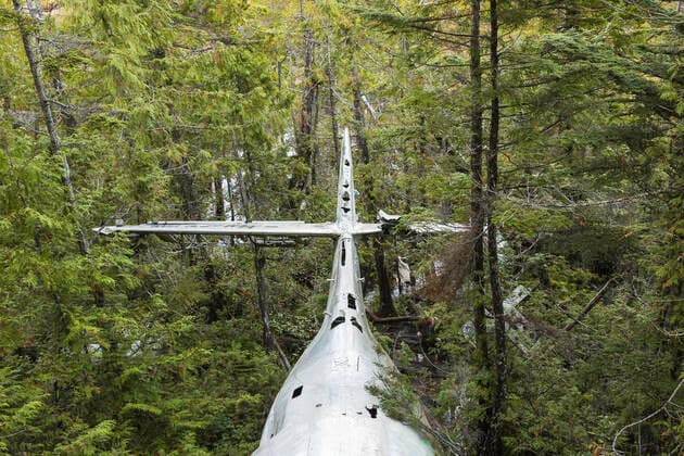 WW2 airplane wreckage in rainforest, Pacific Rim National Park, Vancouver Island, British Columbia, Canada, 22.12.2016, Copyright: xManuelxSulzerx green color,world war two,absence,abundance,history,memories,growth,nature,wreck,canada,british columbia,outdoors,rainforest,pacific rim national park,day,nobody,travel,transport,airplane,remind,travel destination,vancouver island,tofino,airplane tail,airplane crash,remaining,January 2017 Release,Absence,Abundance,Growth,Memories,No People,Historic Event,War,Historical War Event,World War Two,Wreck,Canada,British Columbia,Symbol,Orthographic Symbol,Numeral,Air Vehicle,Aircraft,Airplane,Vehicle Wing,Tail Fin,Airplane Tail,Woodland,Forest,Tropical Forest,Outdoors,Day,History,Nature,Travel,Place Ref:IS09B3TJ0