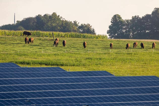 IMAGO Nature: Unsere Erde, Energiequellen, Photovoltaik Fotovoltaik Solaranlage auf Feldern und Wiesen - Symbolbilder Feld auf der Schwäbischen Alb mit Photovoltaik-Anlage. 24.09.2021: Deutschland, Baden-Württemberg, Nellingen. *** Field on the Swabian Alb with photovoltaic system 24 09 2021 Germany, Baden Württemberg, Nellingen