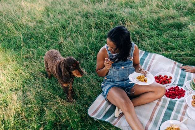 Woman looking at pet while sitting on picnic blanket at park model released Symbolfoto property released ASGF01399