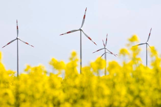 Rapsfeld und Windkraftanlagen am Niederrhein, Deutschland, Nordrhein-Westfalen, Niederrhein, Waldfeucht rape field and wind wheels at the Lower Rhine, Germany, North Rhine-Westphalia, Lower Rhine, Waldfeucht BLWS653058 *** Rape field and wind wheels at the Lower Rhine, Germany, North Rhine Westphalia, Lower Rhine, Waldfeucht BLWS653058 Copyright: xblickwinkel S.xZiesex