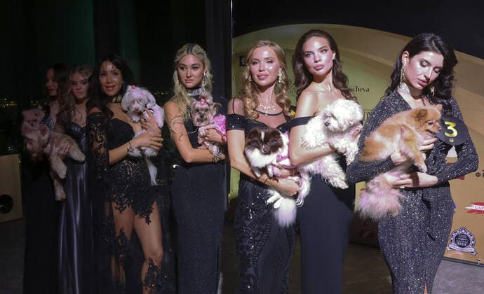 MOSCOW, RUSSIA â€“ SEPTEMBER 28, 2021: Dogs with their owners at a ceremony to present the 2021 Golden Pet Awards at the Federation Tower of the Moscow International Business Centre. Vladimir Gerdo TASS  TS11254F