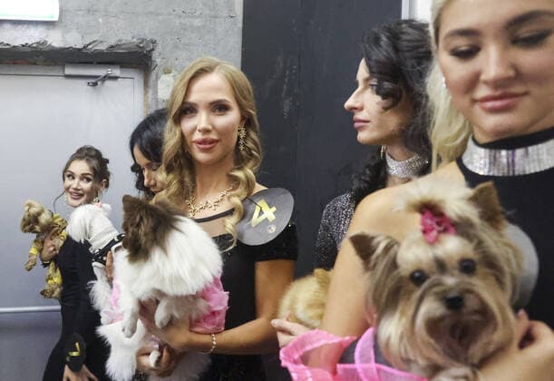 MOSCOW, RUSSIA â€“ SEPTEMBER 28, 2021: Dogs with their owners at a ceremony to present the 2021 Golden Pet Awards at the Federation Tower of the Moscow International Business Centre. Vladimir Gerdo TASS  TS11255A