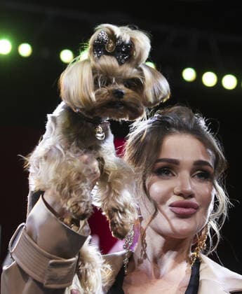 Entertainment Bilder des Tages MOSCOW, RUSSIA â€“ SEPTEMBER 28, 2021: A dog with its owner at a ceremony to present the 2021 Golden Pet Awards at the Federation Tower of the Moscow International Business Centre. Vladimir Gerdo TASS  TS11258D