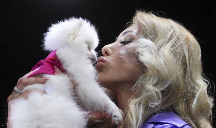 MOSCOW, RUSSIA â€“ SEPTEMBER 28, 2021: A dog with its owner at a ceremony to present the 2021 Golden Pet Awards at the Federation Tower of the Moscow International Business Centre. Vladimir Gerdo TASS  TS112591