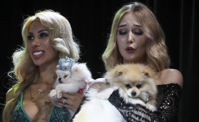 MOSCOW, RUSSIA â€“ SEPTEMBER 28, 2021: Dogs with their owners at a ceremony to present the 2021 Golden Pet Awards at the Federation Tower of the Moscow International Business Centre. Vladimir Gerdo TASS  TS1125A7