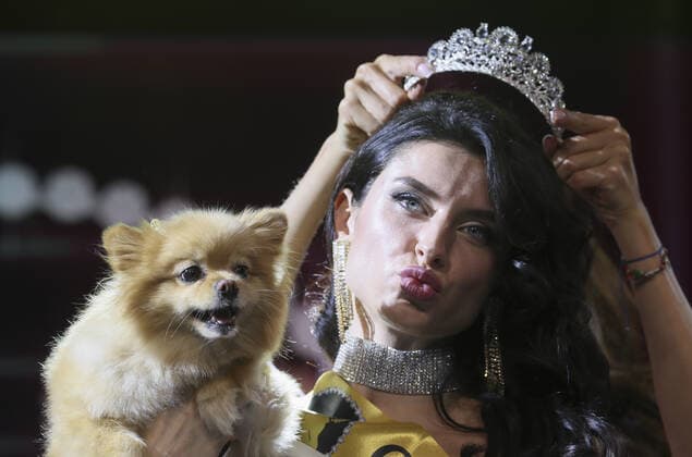 MOSCOW, RUSSIA â€“ SEPTEMBER 28, 2021: A dog with its owner Tatyana Vorozhenko at a ceremony to present the 2021 Golden Pet Awards at the Federation Tower of the Moscow International Business Centre. Vladimir Gerdo TASS  TS1125A8