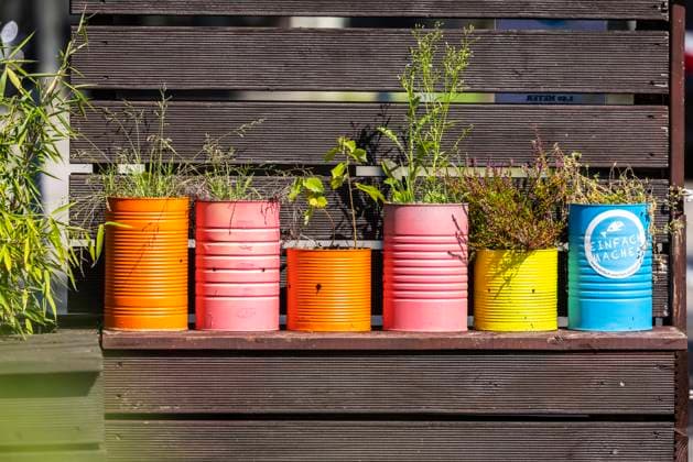 Blumen in bunten Farbtöpfen. Aus ehemaligen Gurkendosen werden farbige Pflanzkübel. 28.08.2021: Deutschland, Baden-Württemberg, Stuttgart. *** Flowers in colourful pots Former cucumber cans become colourful planters 28 08 2021 Germany, Baden Württemberg, Stuttgart