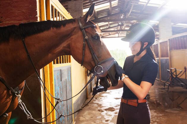 IMAGO Creative: Klub-Sport Horse barns in calm young woman China, 29 07 2020, model released, Copyright: xViewxStockx, Ref:cpmh-206299f07w.jpg, Horseback Riding,Equestrian Event,Care,Asia,Asian and Indian Ethnicities,East Asia,Oriental Ethnicity,china,Chinese Ethnicity,People,Adult,Young Adult,Young Women,One Person,Women,Only Women,Summer,Indoors,Stable,Barn,Standing,Horse,One Animal,Animal,Domestic Animals,Holding,Rein,Touching,Cool Attitude,Confidence,Expressing Positivity,Obedience,Enjoyment,Cheerful,Fun,Togetherness,Photography,Horizontal,Color Image,Day,Looking Away,Three Quarter Length,20-24 Years Copyright: xViewxStockx