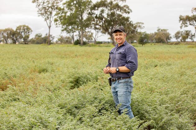 IMAGO Nature: Unsere Erde, Klimawandel, Ernährung, Pflanzen der Zukunft, Kichererbse FARMERS CLIMATE FEATURE MOREE, Crop farmer Oscar Pearse poses for a photograph in his Hattrick Chickpea crop on his farm Kambodia near Moree, Monday, October 11, 2021. Australia s farmers are making an impassioned plea for a fair go in the effort to achieve an economy-wide aspiration of net zero emissions by 2050. ( NO ARCHIVING, EDITORIAL USE ONLY, NO USE IN BOOKS WITHOUT CONSENT MOREE NSW AUSTRALIA  Copyright: xKIMxSTOREYx 20211011001585217350