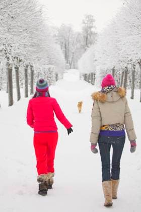 IMAGO Creative: Jahreszeit Winter, Spaziergang two women walk by winter alley snow trees on background Copyright: xx 8410224