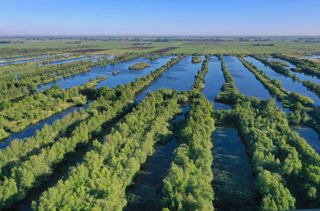IMAGO Nature: Unsere Erde, Ressourcen, Torf abgetorftes Niedermoor bei Tjalleberd, Niederlande, Friesland, Tjalleberd, NSG De Deelen low moor near Tjalleberd formerly used for peat exploitation, Netherlands, Frisia, Tjalleberd, NSG De Deelen BLWS654245 *** Peat bog near Tjalleberd, Netherlands, Frisia, Tjalleberd, NSG De Deelen low moor near Tjalleberd formerly used for peat exploitation, Netherlands, Frisia, Tjalleberd, NSG De Deelen BLWS654245 Copyright: xblickwinkel M.xWoikex