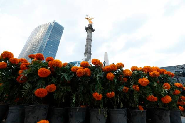 Photograph of cempasúchil flowers placed in the monument of the Angel of Independence to commemorate the day of the dead in Mexico City, Mexico, 14 October 2021. Mexico City began planting 260,000 cempasúchil flowers on Thursday to begin preparations for the Day of the Dead, whose celebrations will return this year after the pandemic, capital authorities said. Mexican capital prepares the Day of the Dead with thousands of cempasúchil flowers !ACHTUNG: NUR REDAKTIONELLE NUTZUNG!  Copyright: xMarioxGuzmanx MEX4057 20211015-e7622f64c209065e0c1ebdd111757a49d49ba742