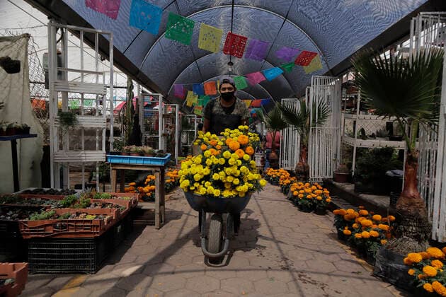 Sale Of Cempasuchitl Flower Begins In Xochimilco, Mexico City A trader and producer of Cempasuchitl flower transports his merchandise on a wheelbarrow inside the Acuexcomatl Market in San Luis Tlaxialtemalco, Xochimilco, during the inauguration of the sale of Cempasuchitl flower before the sanitary emergency by COVID-19 and the epidemiological traffic light in the capital on the eve of the Day of the Dead festivities in Mexico on November 1 and 2. Mexico City Mexico vieyra-notitle211014_npibw  Copyright: xGerardoxVieyrax