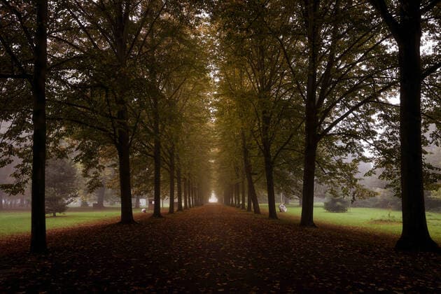 Autumn colors in the castle park Koeln Stammheim Autumn colors in the castle park Koeln Stammheim Koeln castle park Stammheim NRW Germany Copyright: xBSxPressefoto B.Hoffmannx