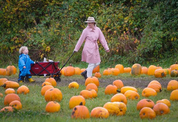 (211017) -- RICHMOND (CANADA), Oct. 17, 2021 -- People are seen during a pumpkin patch activity at a farm in Richmond, British Columbia, Canada, on Oct. 17, 2021. People participated in the activity to mark the arrival of the harvest season and celebrate the upcoming Halloween. (Photo by Xinhua) CANADA-RICHMOND-PUMPKIN PATCH LiangxSen 