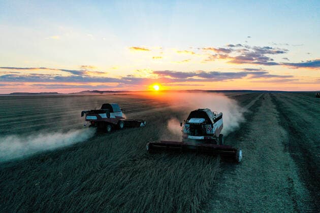 IMAGO Nature: Unsere Erde, Klimawandel, ErnÃ¤hrung, Pflanzen der Zukunft, Soja PRIMORYE TERRITORY, RUSSIA - OCTOBER 20, 2021: TORUM 750 combines harvest soybeans in a field of the Primagro agricultural enterprise, a subsidiary of the Rusagro Group of Companies. Yuri Smityuk TASS  TS114FBD