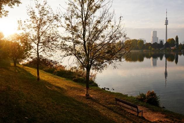 Wien, Austria - October 21, 2021: Herbstliche Landschaft an der Alten Donau Wien Austria *** Vienna, Austria October 21, 2021 Autumn landscape on the Old Danube Vienna Austria 